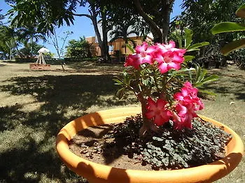 Lodge Villa Victoria Sosua Dominican Republic